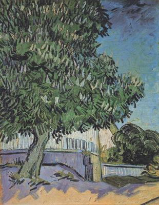 Chestnut Tree in Blossom (nn04), Vincent Van Gogh